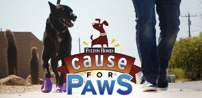 Cause for Paws 2021