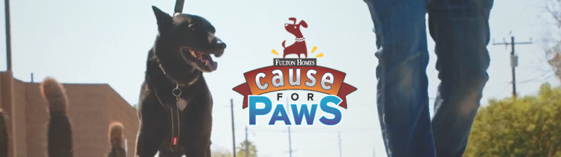 Cause for Paws 2022