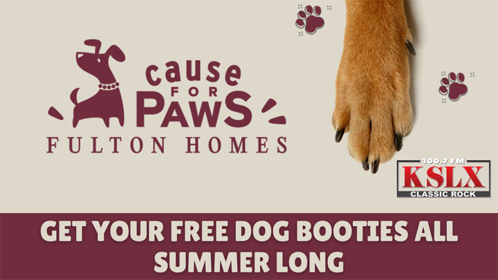 Cause for Paws 2024