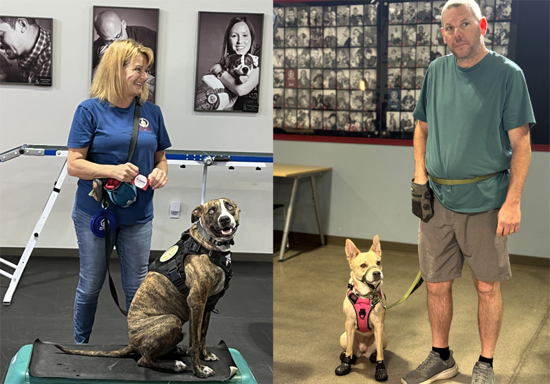 K9 Companion 2025 Winner 1